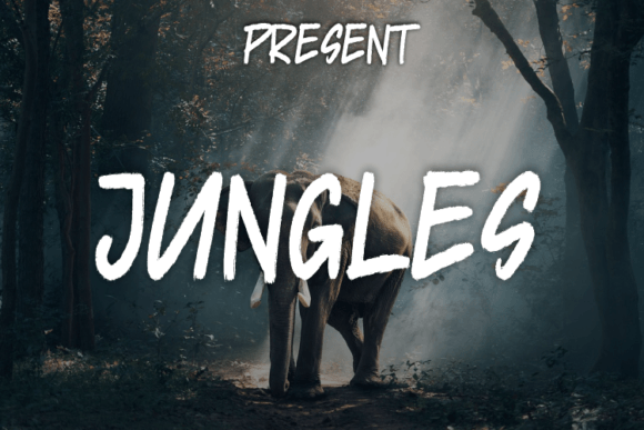 Jungles: The Handwritten Typeface That Elevates Campaign Visuals