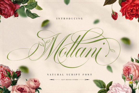 Mollani: The Perfect Script Font for Elegant Web Design