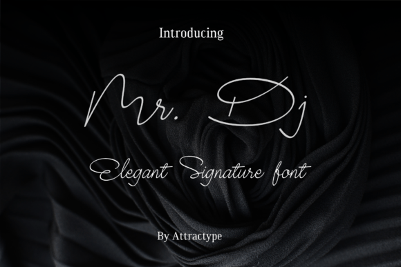 Mr. Dj: The Signature Script Font for Handmade Brands