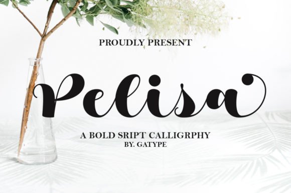 Pelisa Typeface: A Graceful Script for Modern Web Design