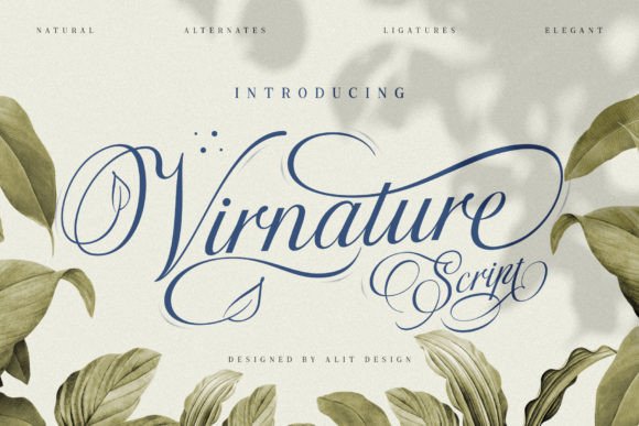 Virnature: The Elegant Script Typeface for Modern Editorial Design